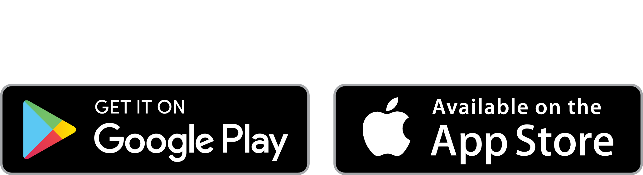 Store Download